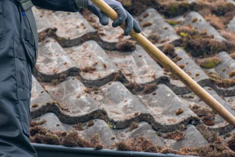 Newton Abbot Roof Cleaning & Coating